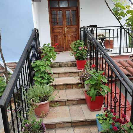 Guest House Eloid Berat Zewnętrze zdjęcie