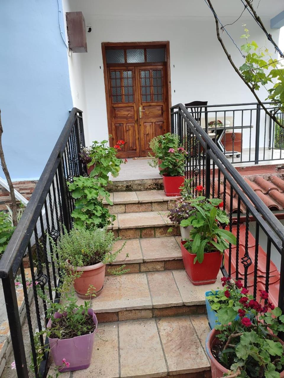 Guest House Eloid Berat Zewnętrze zdjęcie